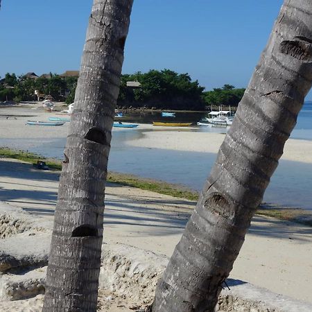 Hotel The Shark'S Tail Dive Center Daanbantayan Exterior foto