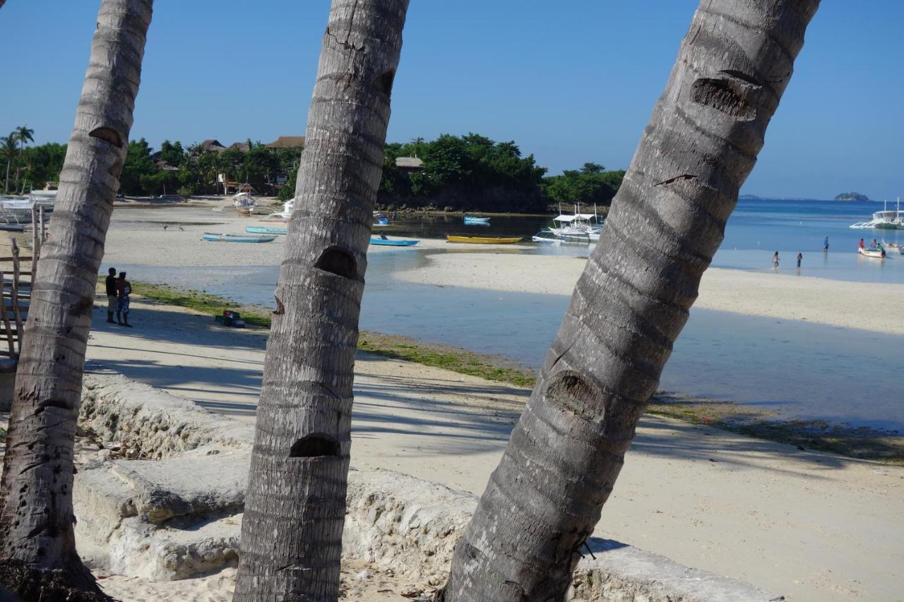 Hotel The Shark'S Tail Dive Center Daanbantayan Exterior foto