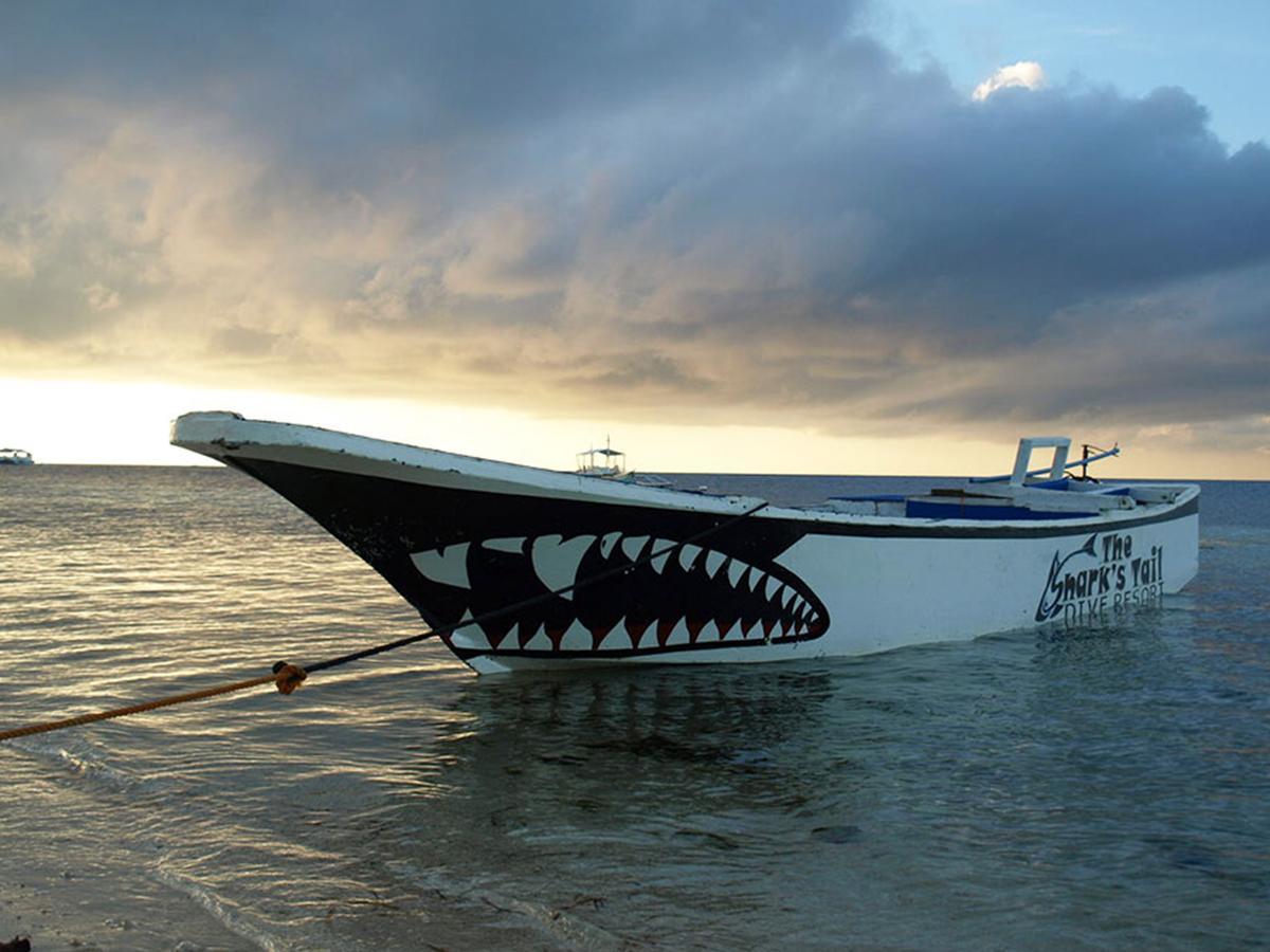 Hotel The Shark'S Tail Dive Center Daanbantayan Exterior foto